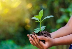 आज जैविक विविधता दिवस, विभिन्न कार्यक्रम गरी मनाइँदै 